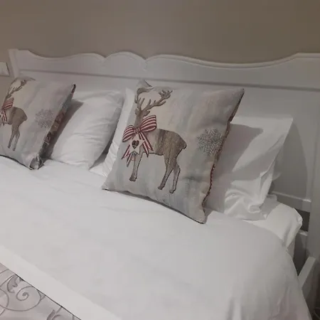 Reggiolacittainvisibile Reggio Emilia