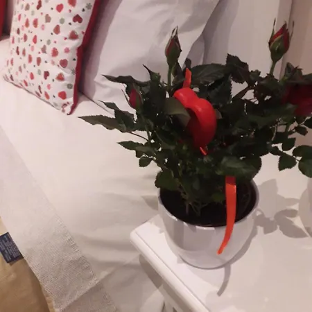 Bed & Breakfast Reggiolacittainvisibile Reggio Emilia