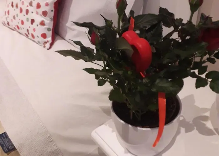 Bed & Breakfast Reggiolacittàinvisibile Reggio nell'Emilia